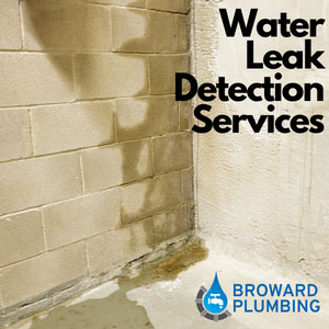 water leak detection services browad county