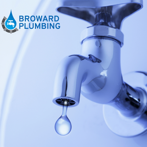 leak detection plumbing company