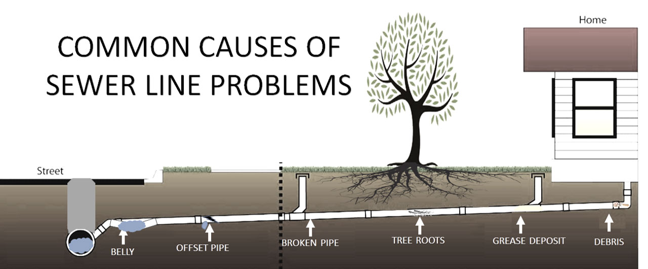 infographic on sewer camera inspections and plumbers in Fort Lauderdale