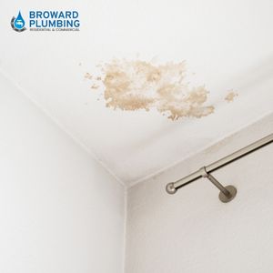 plumbing leak detection