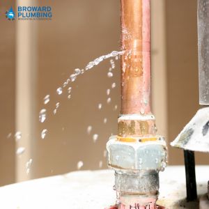 plumbing leak repair