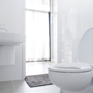 emergency plumbing services for leaky toilet